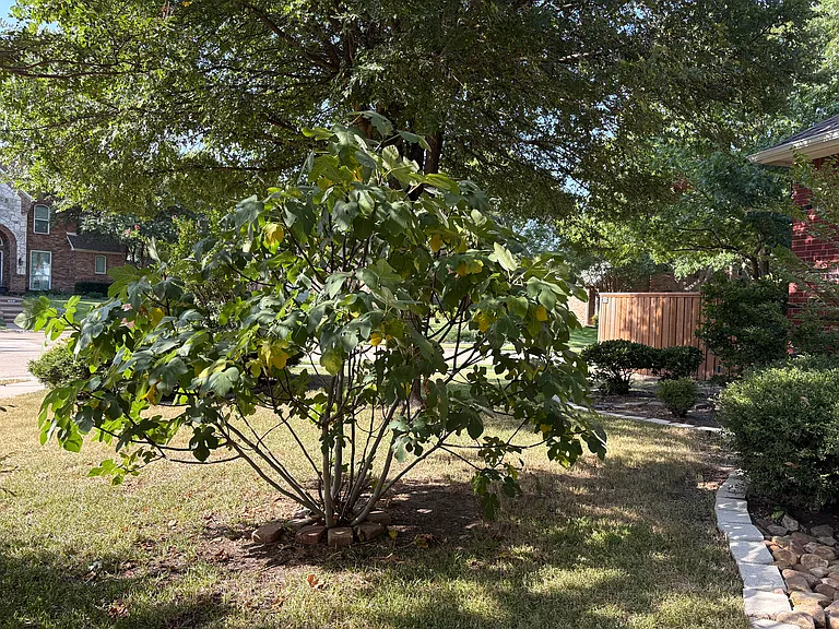 2720 Millwood Dr — Photo 18