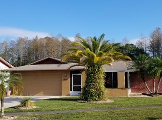 13905 Bittersweet Way, Tampa, FL 33625