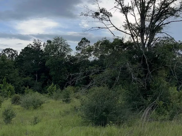 S Longvue Dr Lot 59, Picayune, MS 39466