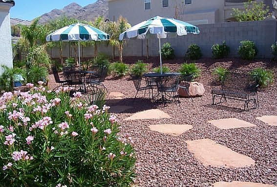 East side of yard