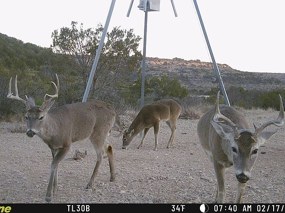 4th image of 349 Texas Pecos Trl #349