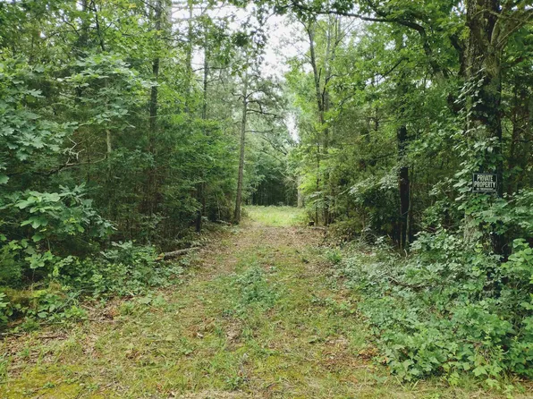 0 Little Pond Dr, Mountain View, AR 72560