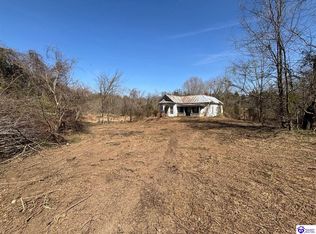 333 Lm Basham Ln, Cloverport, KY 40111