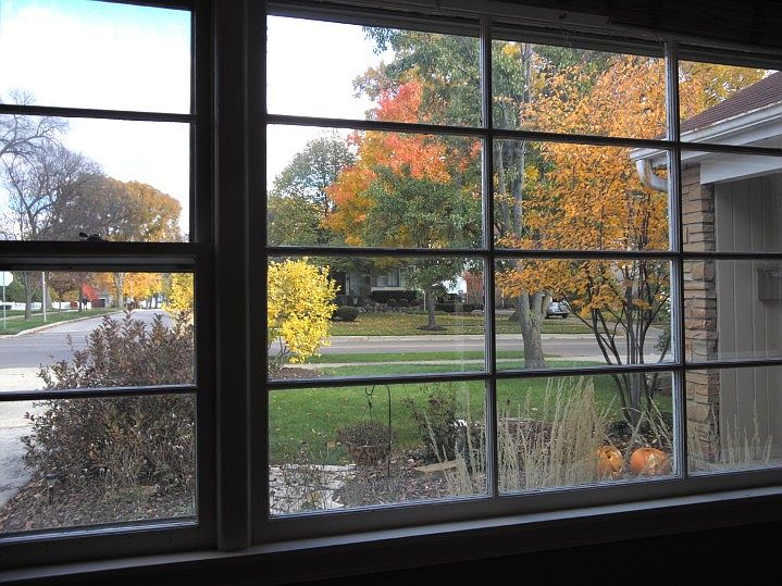 Living Room Window