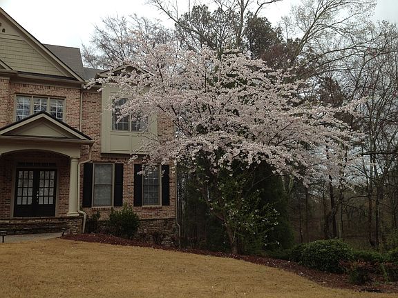 Spring bloom