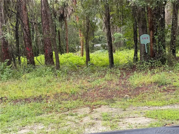 143 N Schoolcraft Dr, Inglis, FL 34449