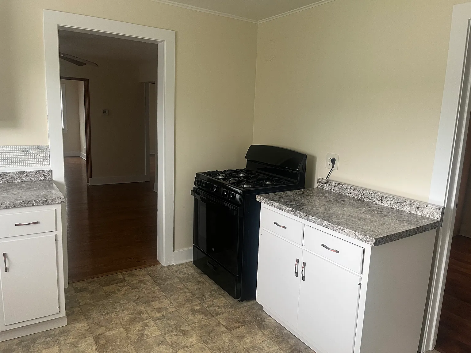 2 bed, 1000 sqft, $1,250 — Photo 4