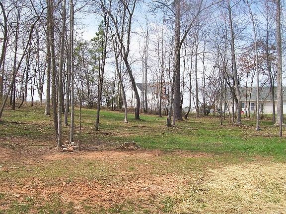 4th image of 157 Rock Moss Dr