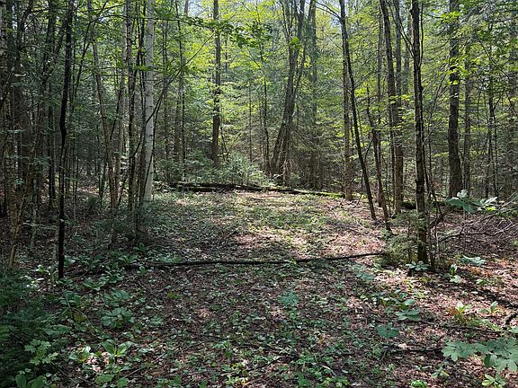 3rd image of 0 Stoney Rd