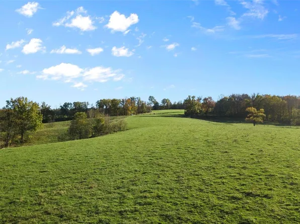 0 County Road 227 #2, Cape Girardeau, MO 63701