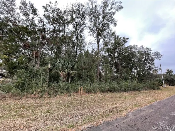 4644 W Old Citrus Rd, Lecanto, FL 34461