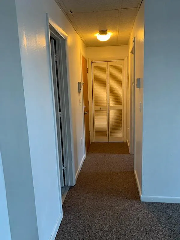 1 bed, 450 sqft, $1,250 — Photo 4