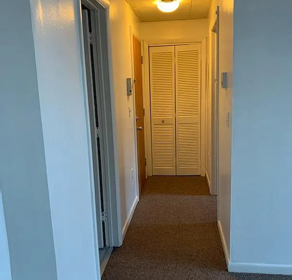 Entry door, closet & Hall to bedrooom