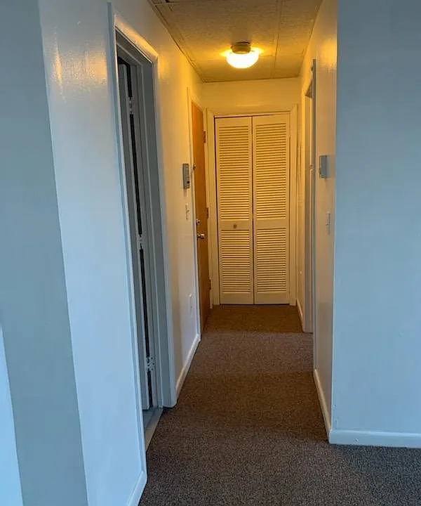 Entry door, closet & Hall to bedrooom
