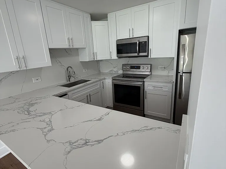 1540 N Lasalle St #403 — Photo 4