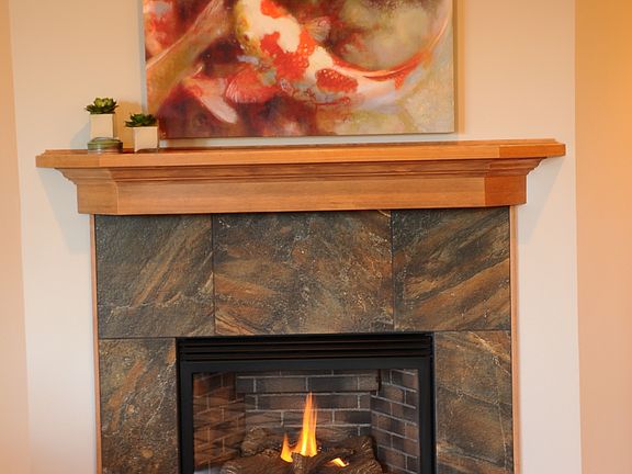 Gas fireplace