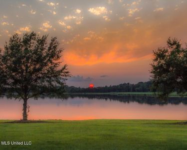 81 Windermere Blvd #81, Madison, MS, 39110