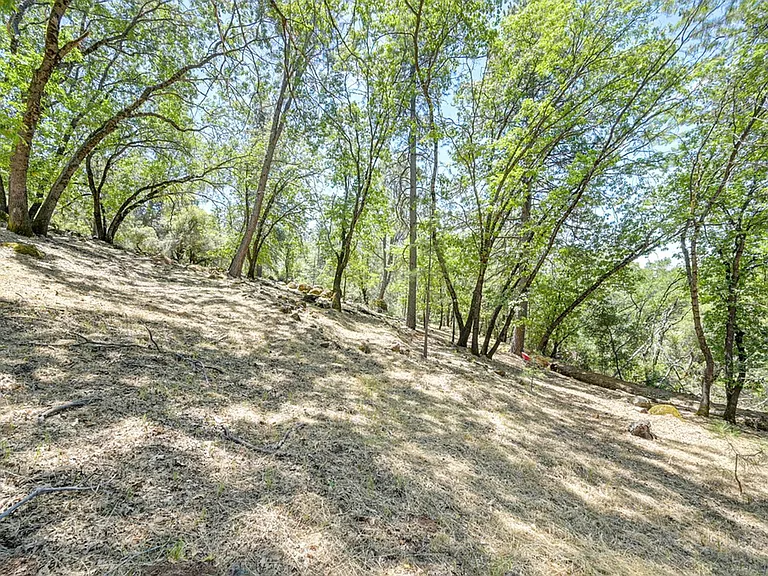 16832 Alice Way — Photo 19