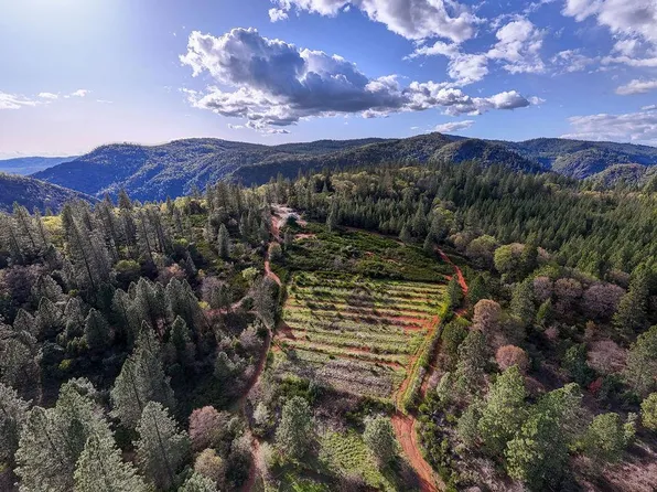 10571 Sebastopol Rd, North San Juan, CA 95960