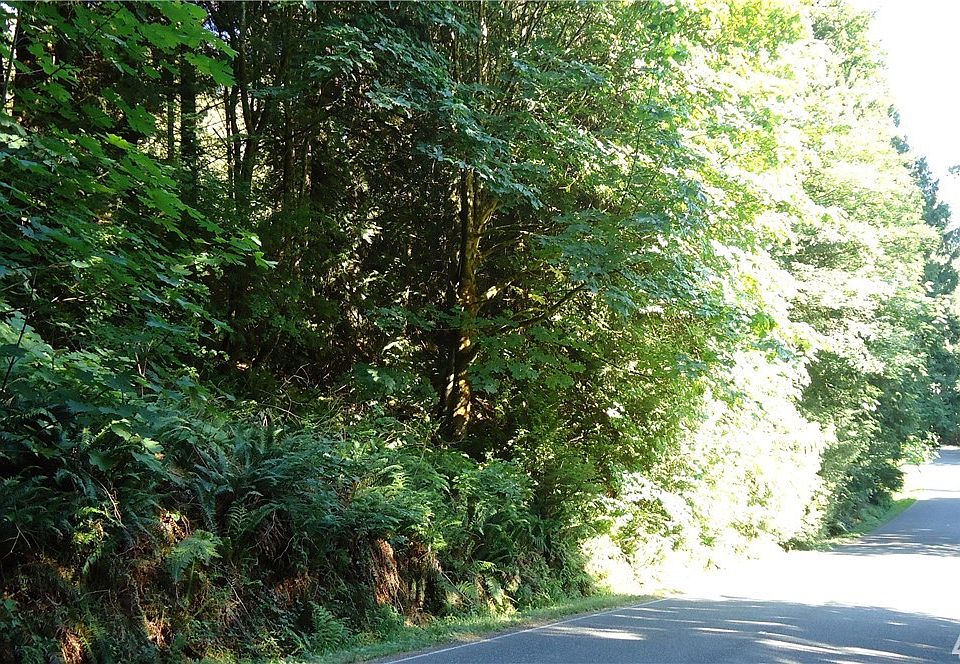 2nd image of 444 Sudden Valley Dr