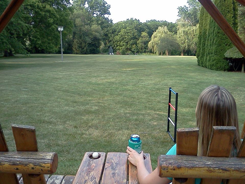 View of backyard