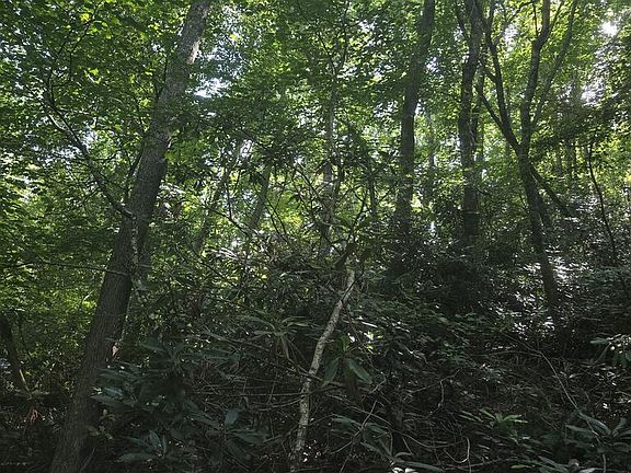 4th image of Tbd Broadway Rd