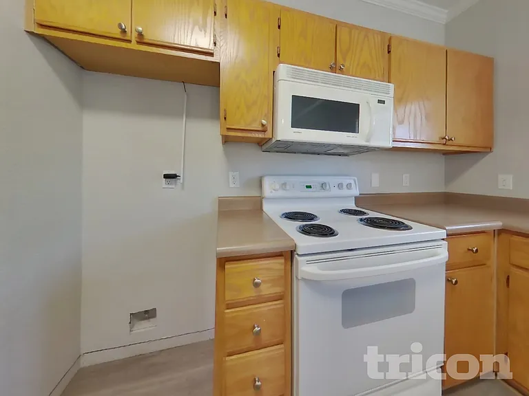 10001 Woodcreek Oaks Blvd #217 — Photo 6