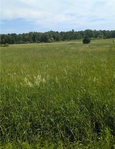 Lot 2 CSM #2158 165th Avenue, Stanley, WI, 54768