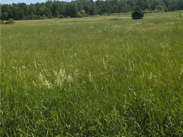 Lot 2 CSM #2158 165th Avenue, Stanley, WI 54768