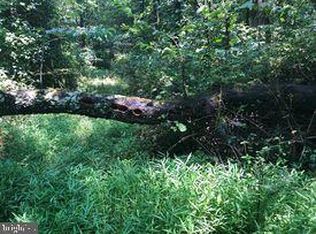 53.5 Ac Off, Cross Junction, VA 22625