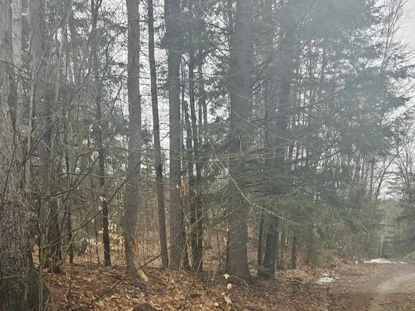 Lot 9 Robie Road Map 248 Lot 9, Salisbury, NH 03268