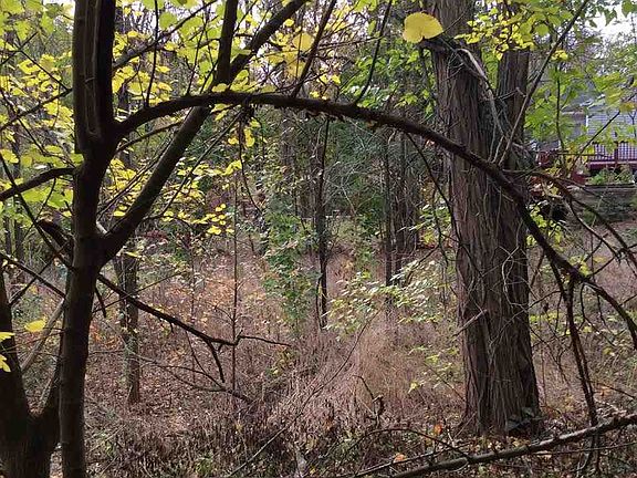 2nd image of 88 Gates Ave