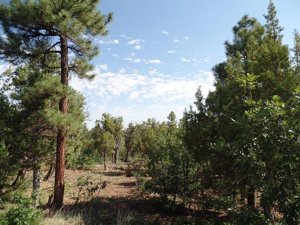 1st image of 1481 S Knoll Trl
