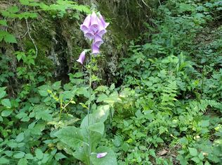 13521 Lost Lake Rd, Snohomish, WA 98296