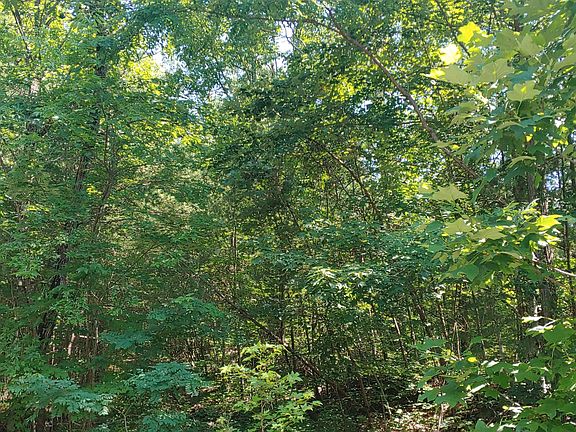 5th image of 3745 Chilhowee Trl Lot 34