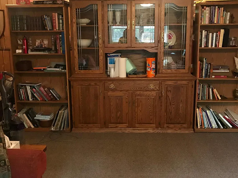 Downstairs family-room (still several hundred square feet on other side of bookcases).