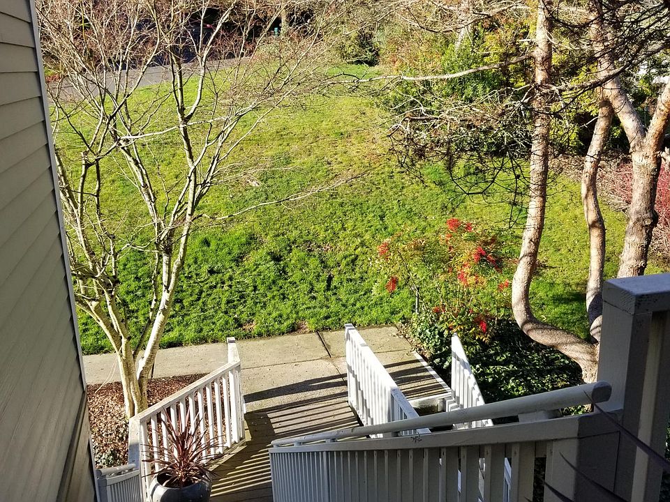 Looking out the front door