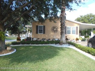 14672 Rialto Ave, Brooksville, FL 34613