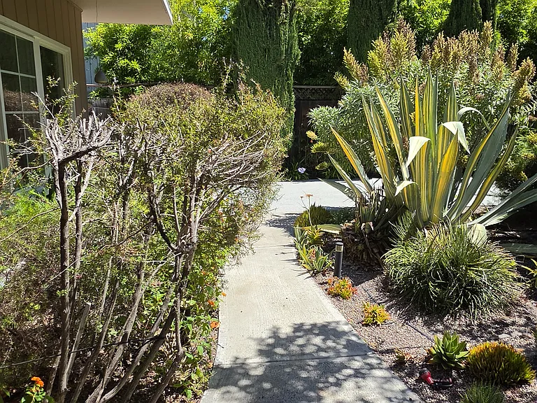 Walkway to front door of Main House