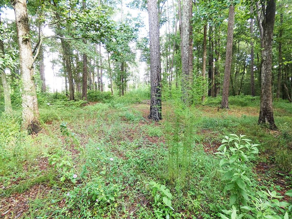 2nd image of Woods Rd
