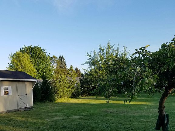 Backyard and 2nd shed 