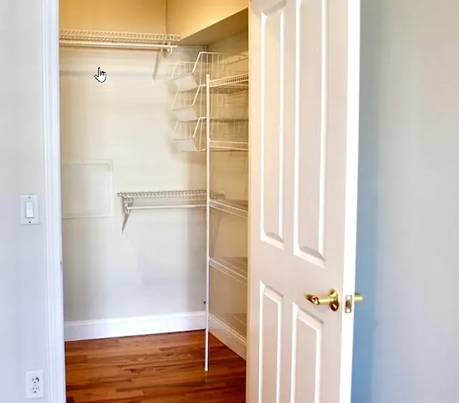 Large, walk-in shelfed bedroom closet