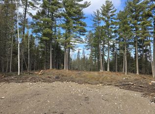13.7 Crane Lake Rd, Crane Lake, MN 55725