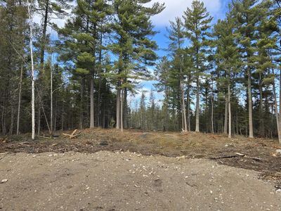 13.7 Crane Lake Rd, Crane Lake, MN, 55725