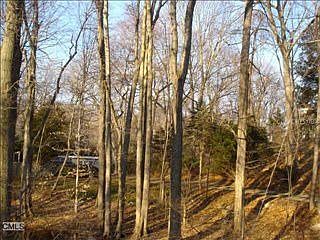 2nd image of 42 Old Nursery Dr