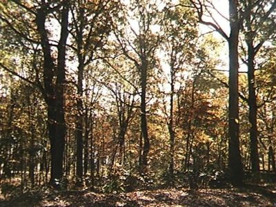 44 Anthonies Mill Est, Bourbon, MO, 65441