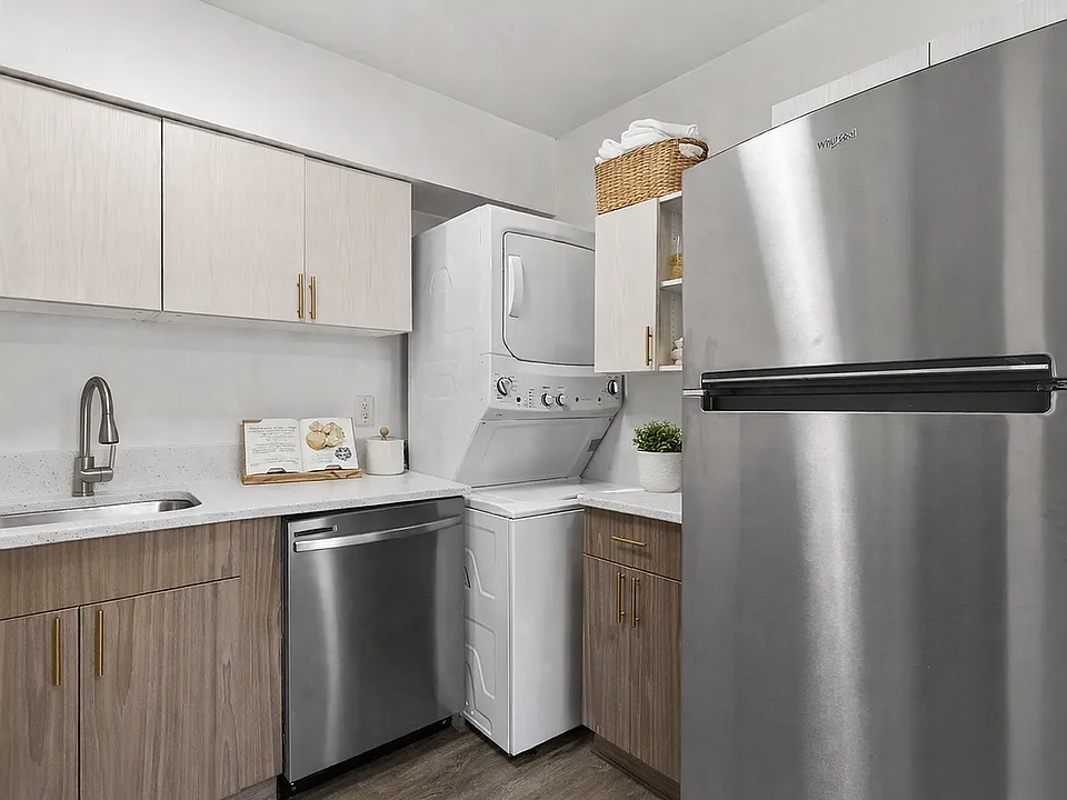 Modern kitchen and laundry combo