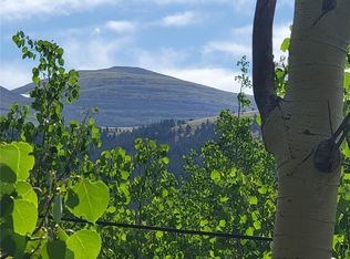 1191 Quartzville Rd, Alma, CO 80420