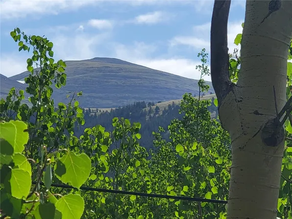 1191 Quartzville Road, Alma, CO 80420