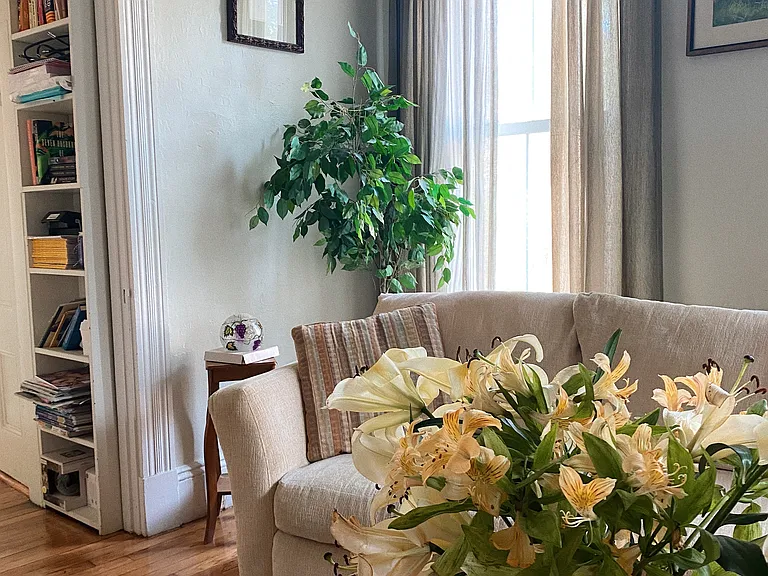 57 Beltran St #1 — Photo 6